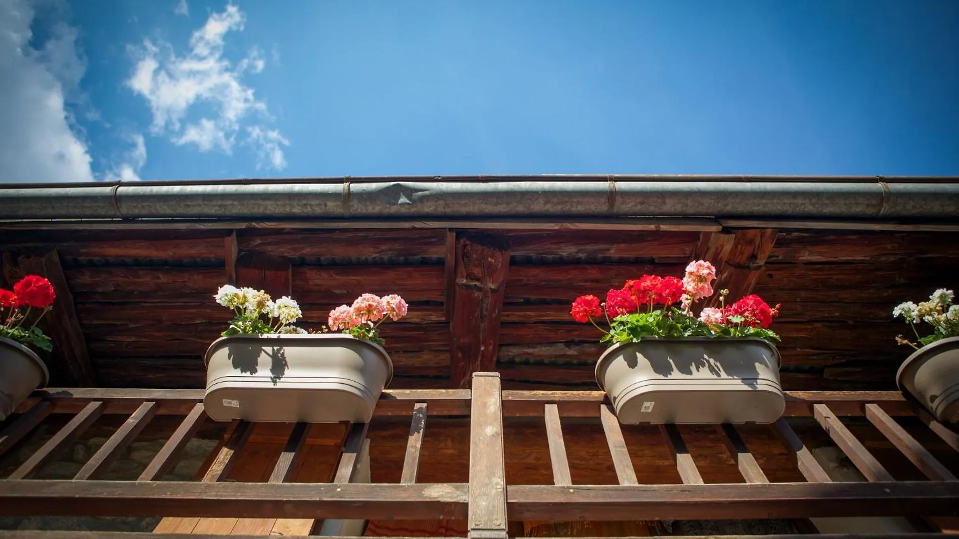 Lodge Marmotte Mountain Manor Villa Chamonix France
